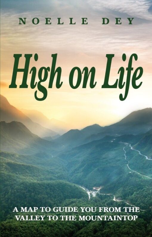 High on Life, 9781662964480, Paperback